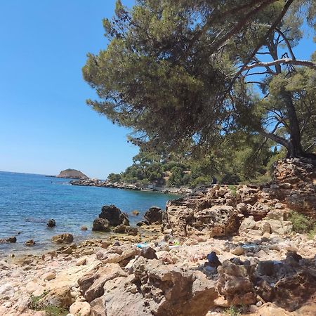Charmant Studio 2A4 Pers Avec Jardin Et Place De Parking Situe A 5 Min A Pied De La Mer 邦多勒 外观 照片