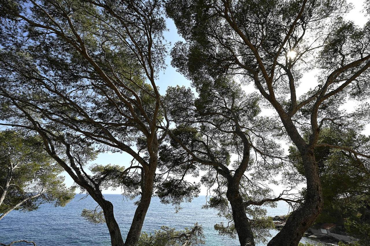Charmant Studio 2A4 Pers Avec Jardin Et Place De Parking Situe A 5 Min A Pied De La Mer 邦多勒 外观 照片