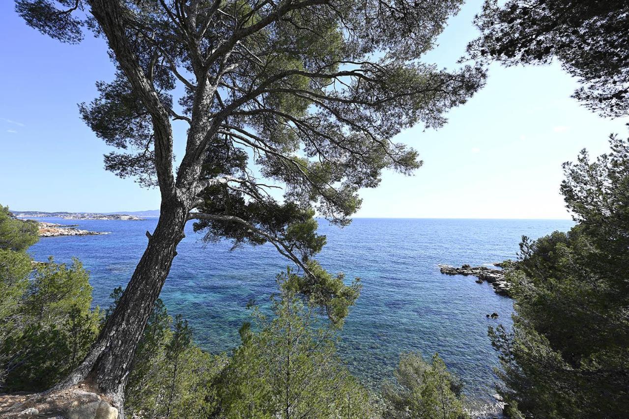 Charmant Studio 2A4 Pers Avec Jardin Et Place De Parking Situe A 5 Min A Pied De La Mer 邦多勒 外观 照片