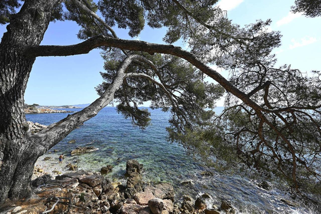 Charmant Studio 2A4 Pers Avec Jardin Et Place De Parking Situe A 5 Min A Pied De La Mer 邦多勒 外观 照片