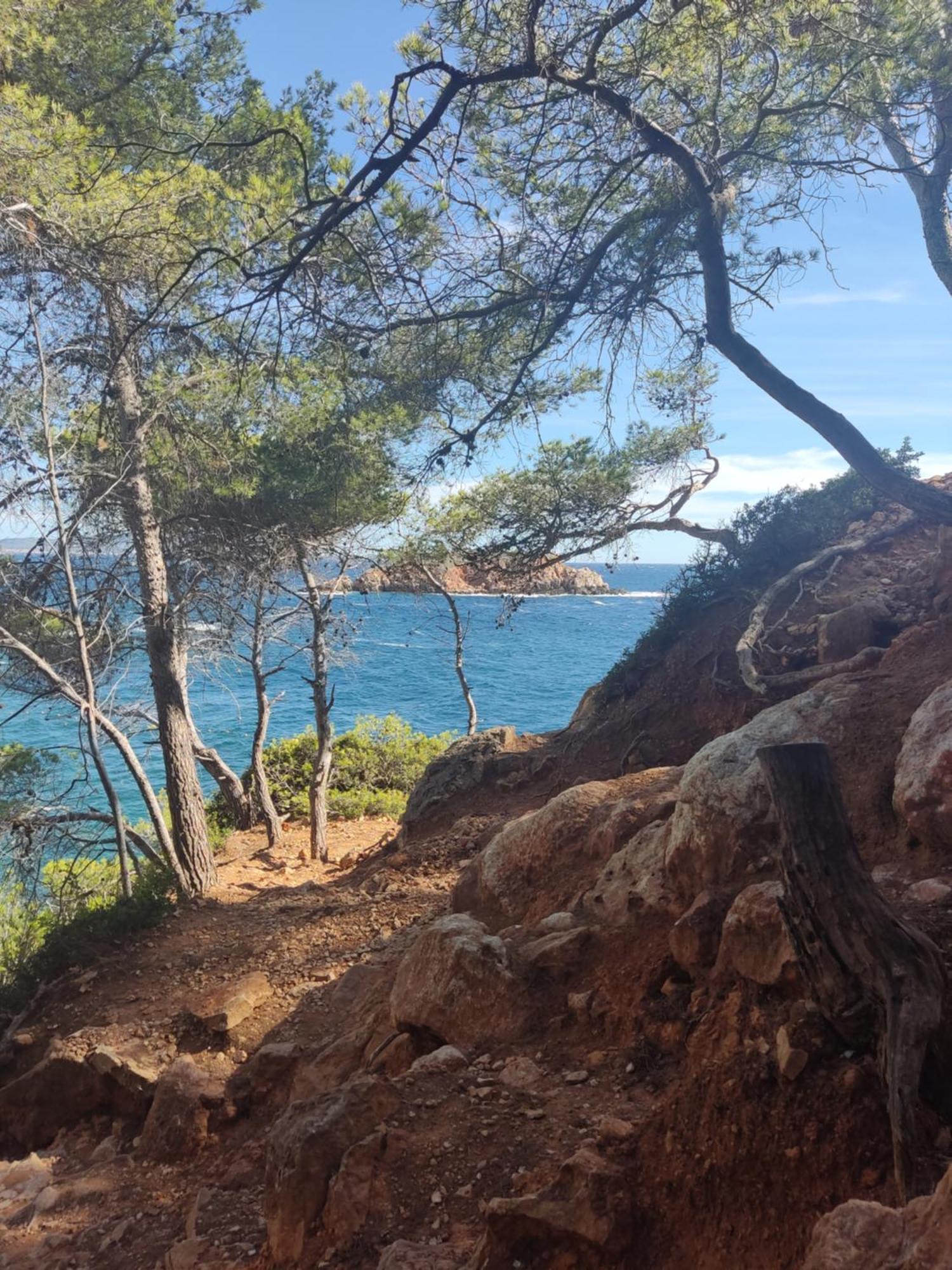 Charmant Studio 2A4 Pers Avec Jardin Et Place De Parking Situe A 5 Min A Pied De La Mer 邦多勒 外观 照片